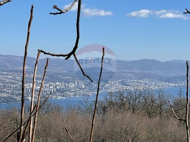 Fotografija
