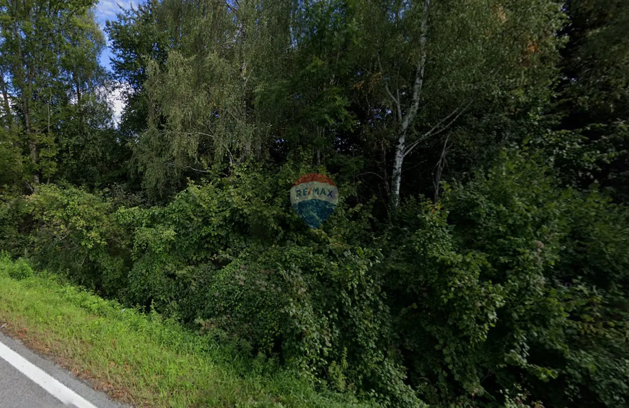 Poljoprivredni teren - Lokve - 4000 m2 - cover