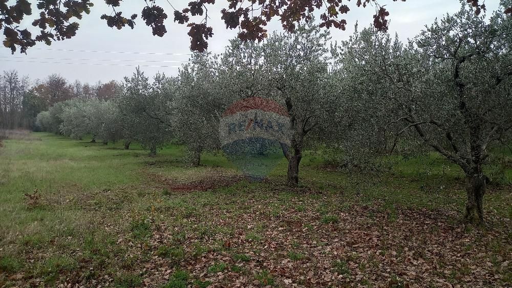 Fotografija