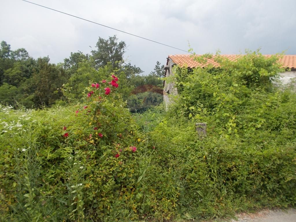 Fotografija