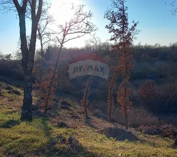 Istra, okolica Kanfanara, Mrgani, veliko zemljište uz rub naselja - cover