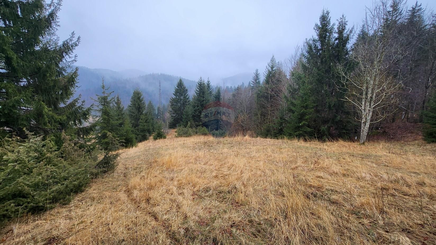 Fotografija