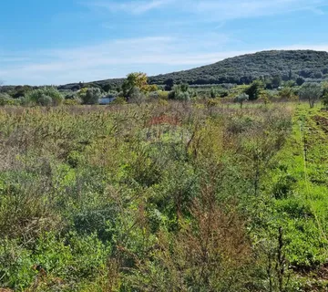 Istra, Rovinj poljoprivredno 5000m2 - cover