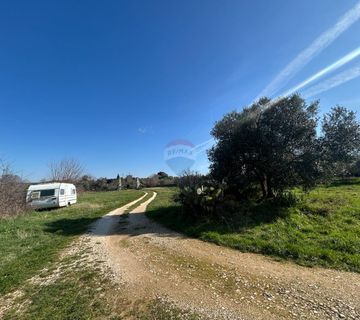 Rovinj, kućica sa velikom okućnicom  - cover