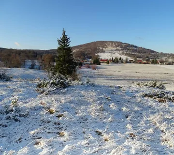 Velik i lijep teren-Stari Laz - cover