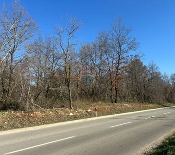 Poreč- okolica, poljoprivredno zemljište veličine 17353 m2 - cover