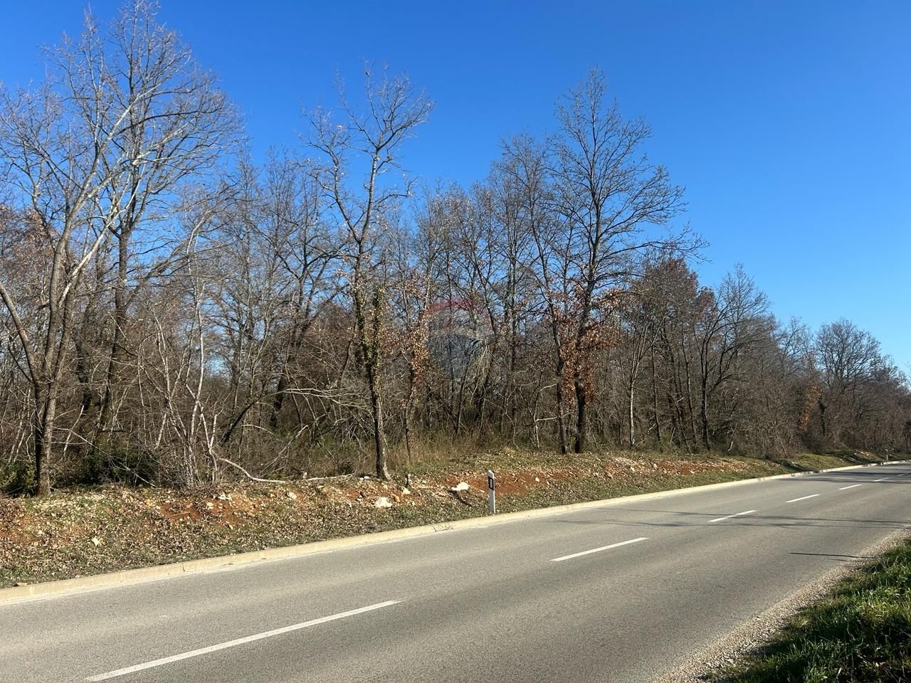 Fotografija