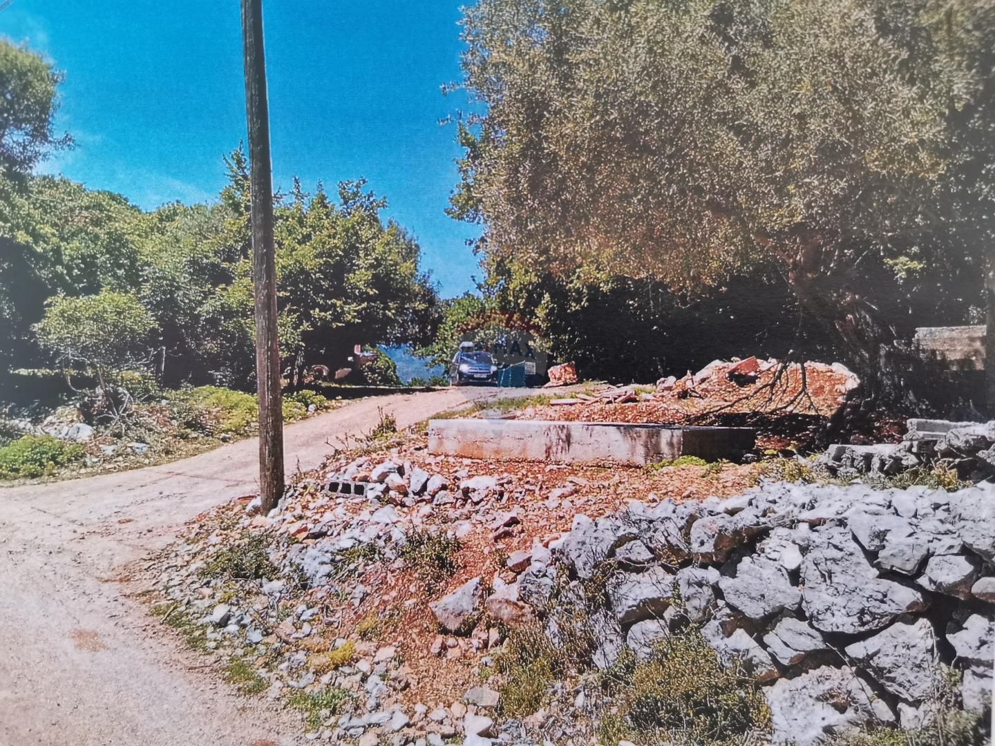 Fotografija