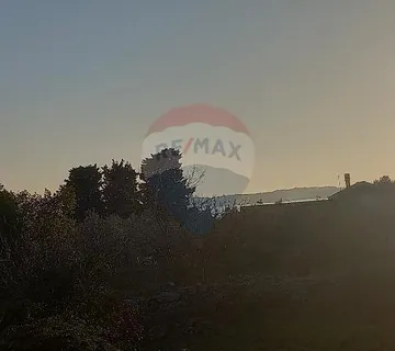 Istra, Fažana, zemljište s maslinikom - cover