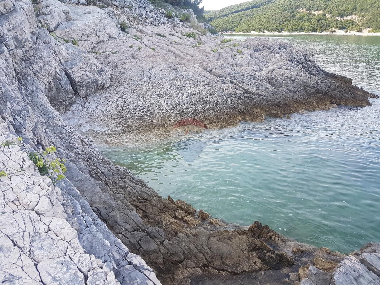 Fotografija