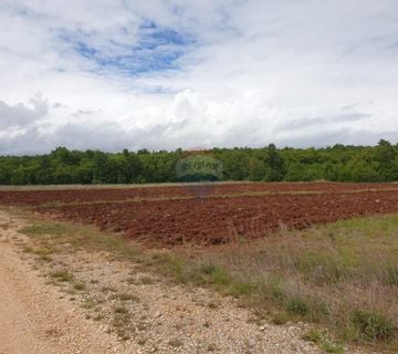 Istra, okolica Višnjana poljoprivredna zemlja površine 47.489m2 - cover