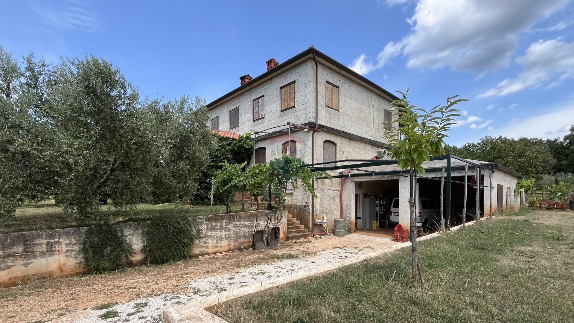 Fotografija