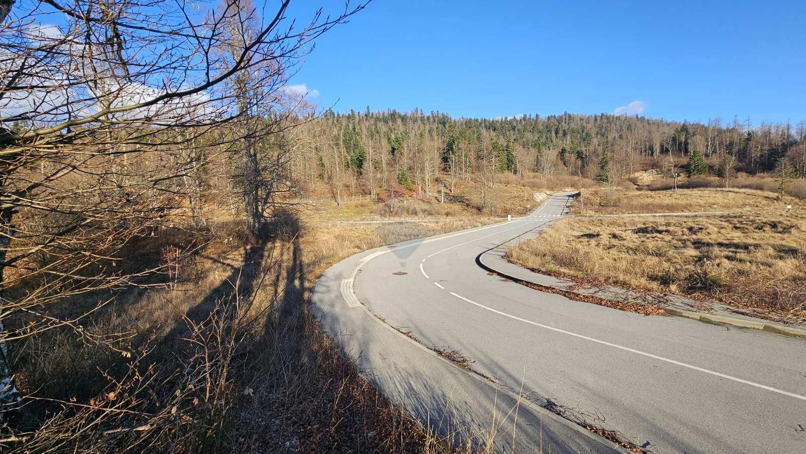 Fotografija