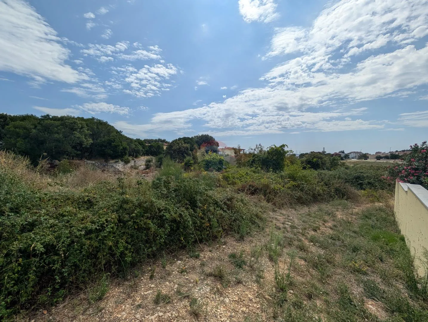 Fotografija