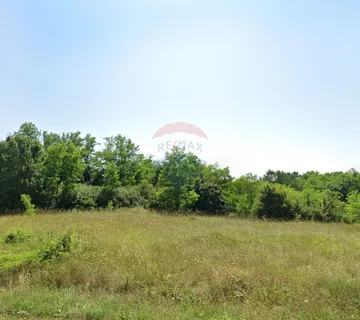 Motovun okolica,  poljoprivrdno zemljište 73837 m2 - cover