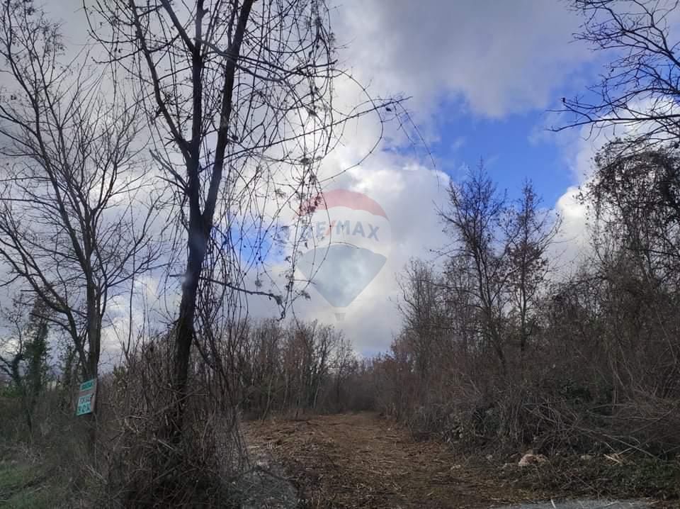 Fotografija