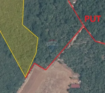 Istra, Rovinj - šuma 7400 m2  - cover