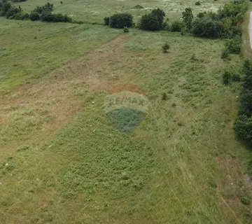 Istra, Tar, poljoprivredno zemljište 10054 m2 - cover