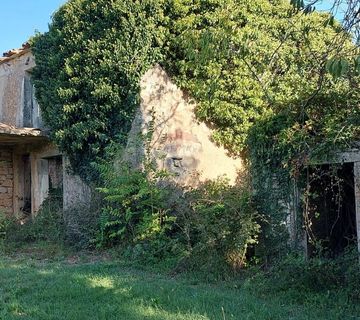 GRAČIŠĆE, okolica - stara kamena kuća sa 6880 m2 dvorišta - cover