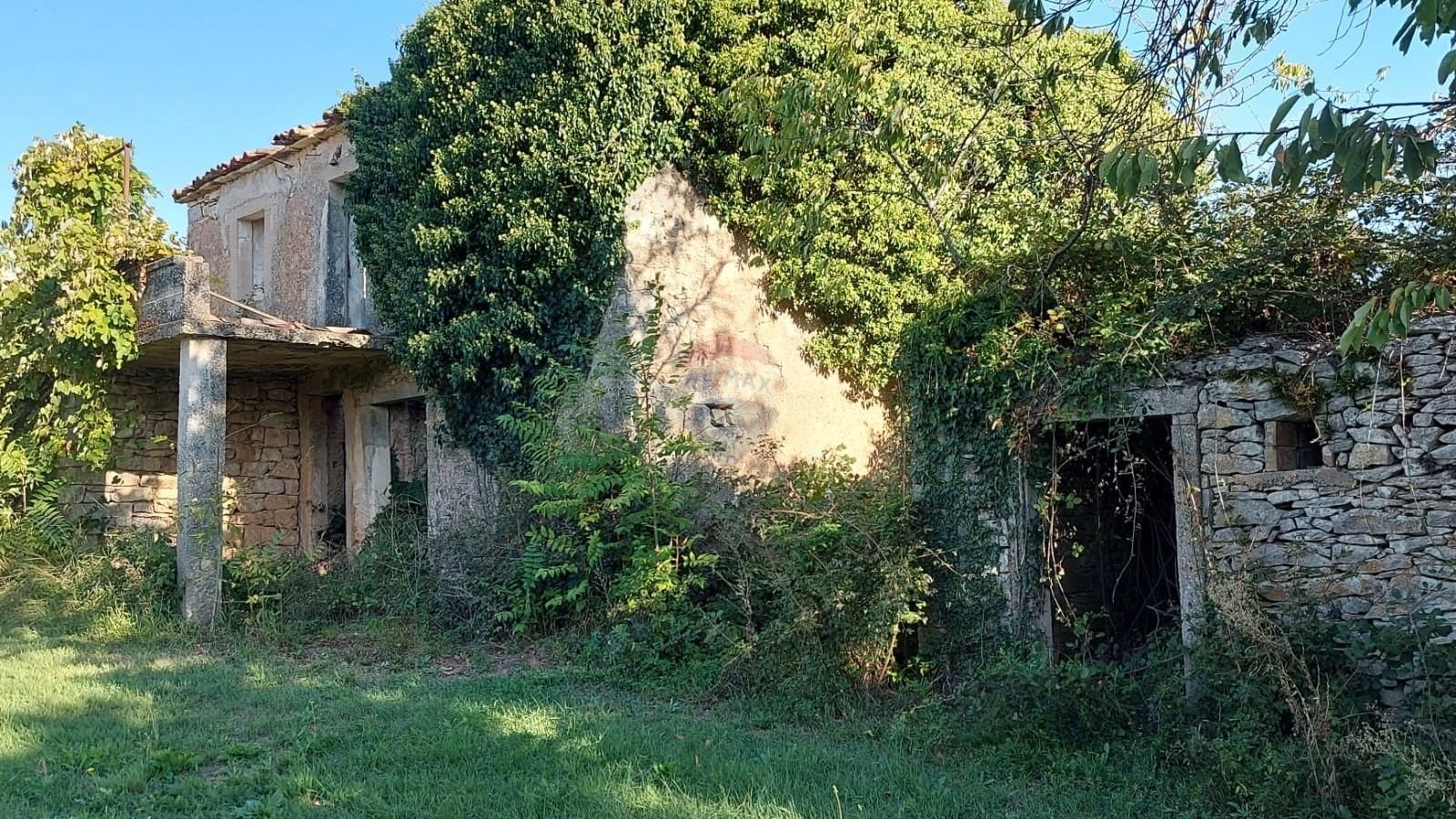 Fotografija