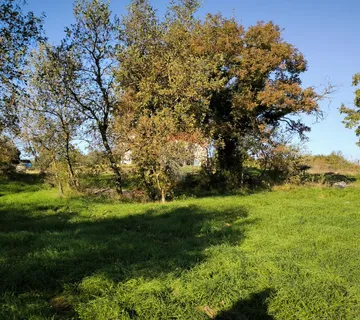Istra, Marčana - građevinsko zemljište, površine 700m2 - cover
