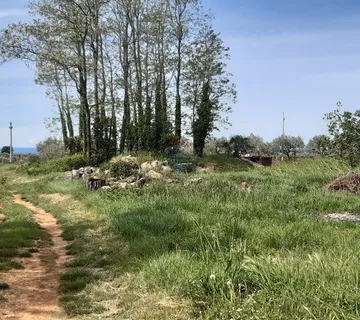 Istra, Poreč okolica - Kaštelir građevinsko zemljište - cover