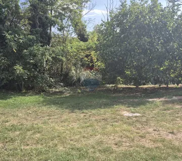 Istra, Tinjan okolica građevinsko poljoprivredno zemljište - cover