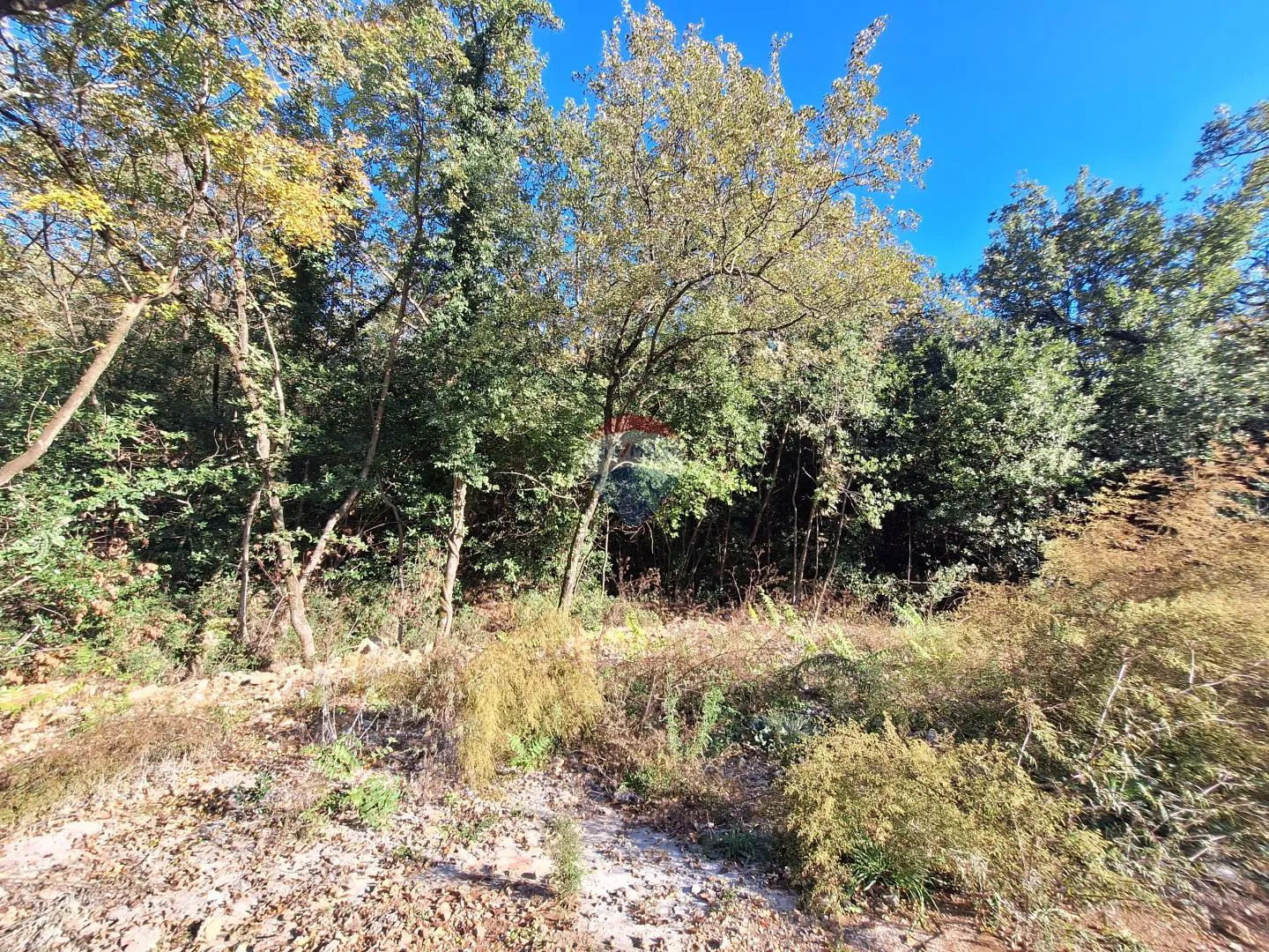 Rijeka, Kantrida - zemljište na atraktivnoj lokaciji - cover