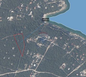 Istra, Peruški okolica, šuma blizu mora - cover