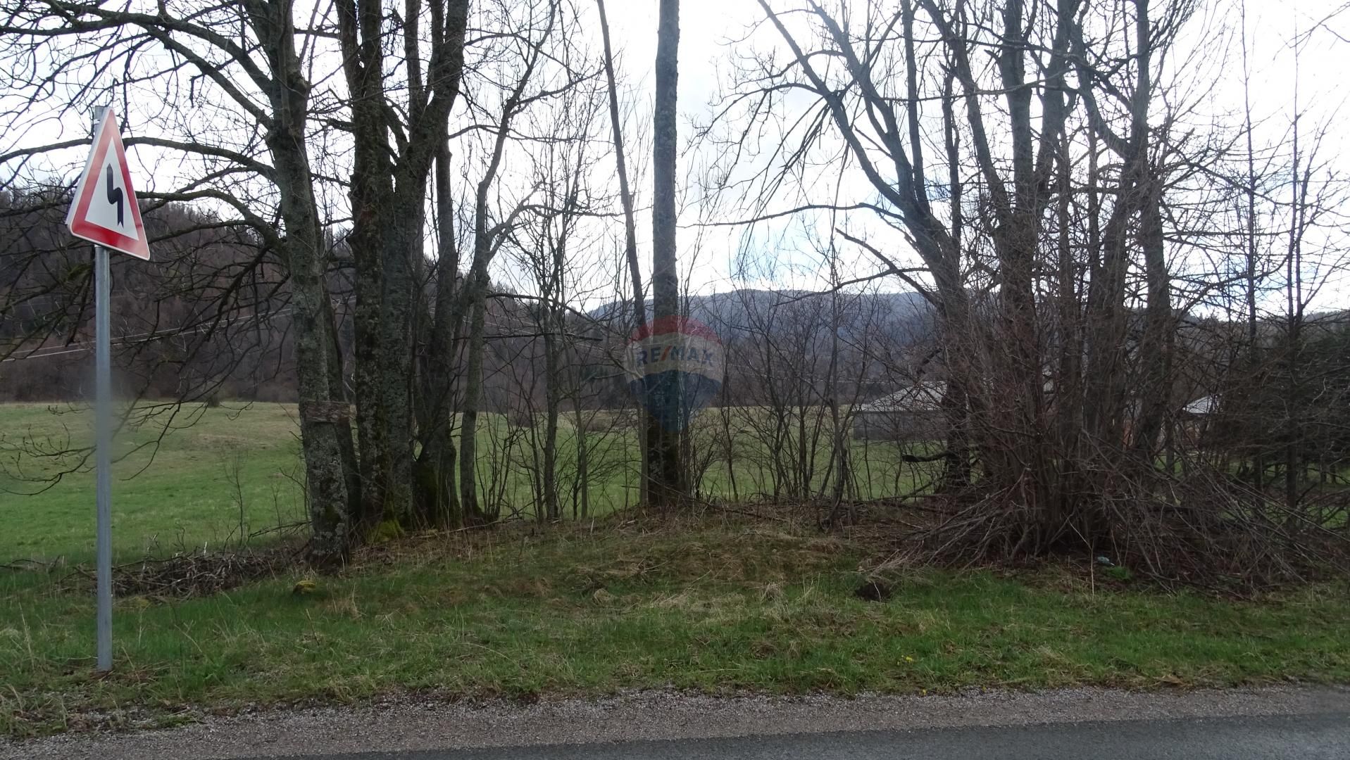 Fotografija