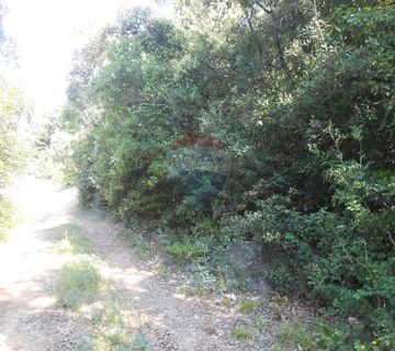 Istra, Marčana, Peruški, šuma - cover