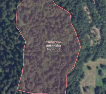 Šuma - Gorski kotar, Kupjak, 35 000 m2 - cover