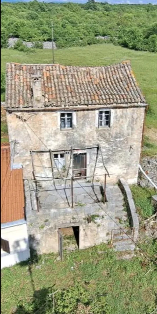 Fotografija