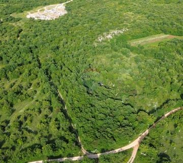 ISTRA, BALE - Poljoprivredno zemljište 8570 m2 - cover