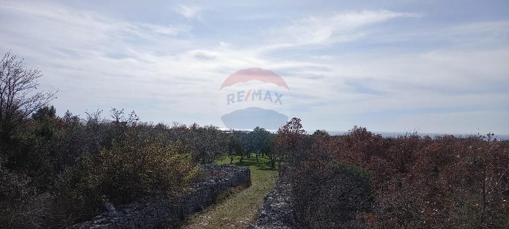Fotografija