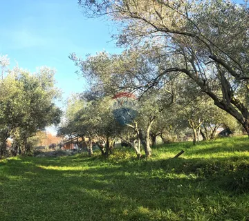 Istra,Lovrečica,okolica-Građevinsko zemljište na rubnom dijelu - cover