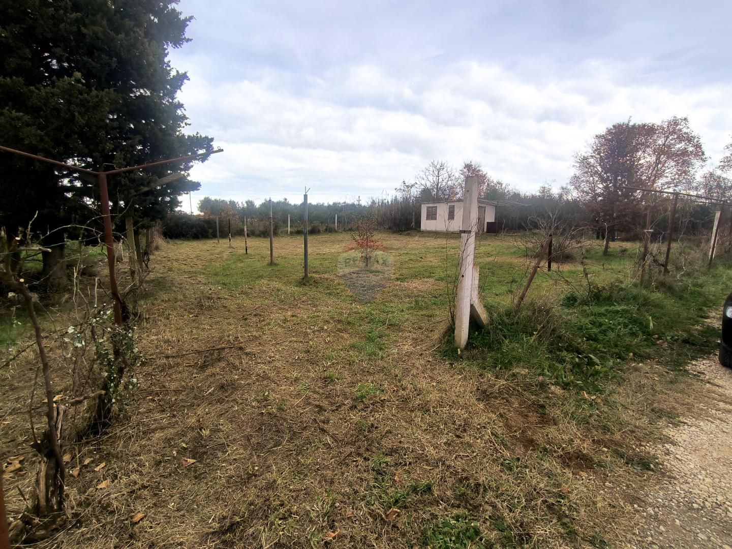 Fotografija