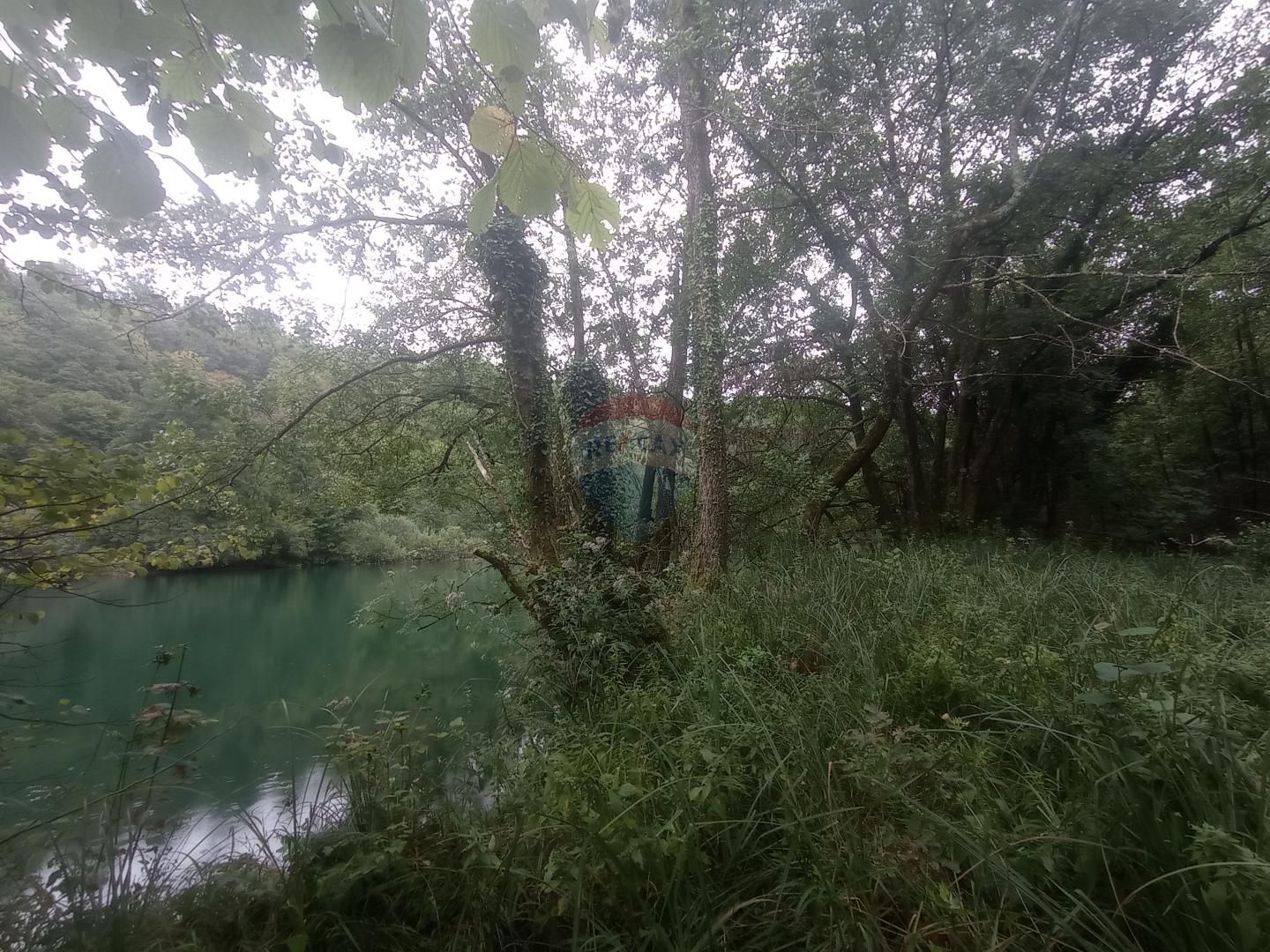 Fotografija