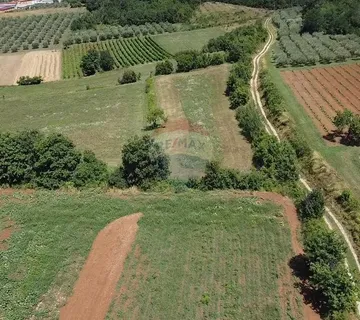 Istra, Vižinada, poljoprivredno zemljište 19 280 m2 - cover