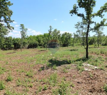 VIŠNJAN, okolica- građevinsko zemljište 2232 m2 - cover