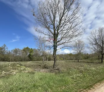 Istra, Sveti Lovreč, građevinsko zemljište 691 m2 - cover