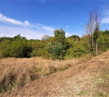 Istra, građevinsko zemljište u okolici Motovuna - cover