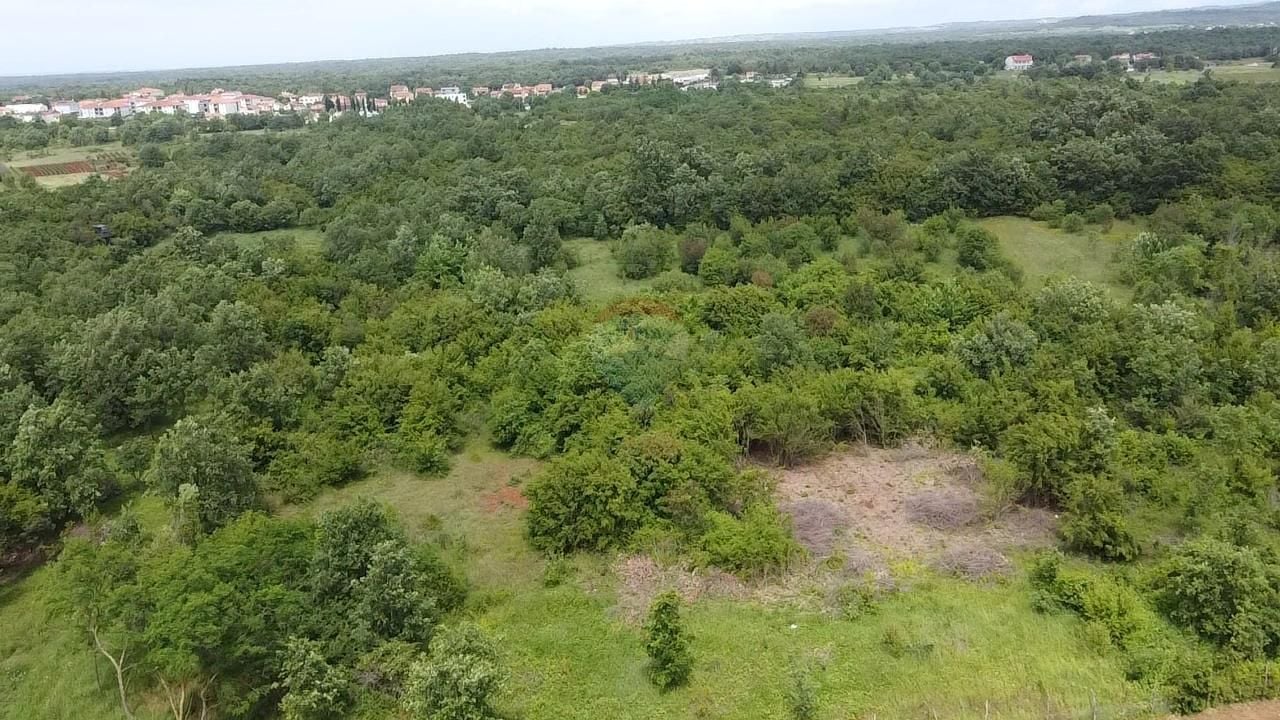 Fotografija
