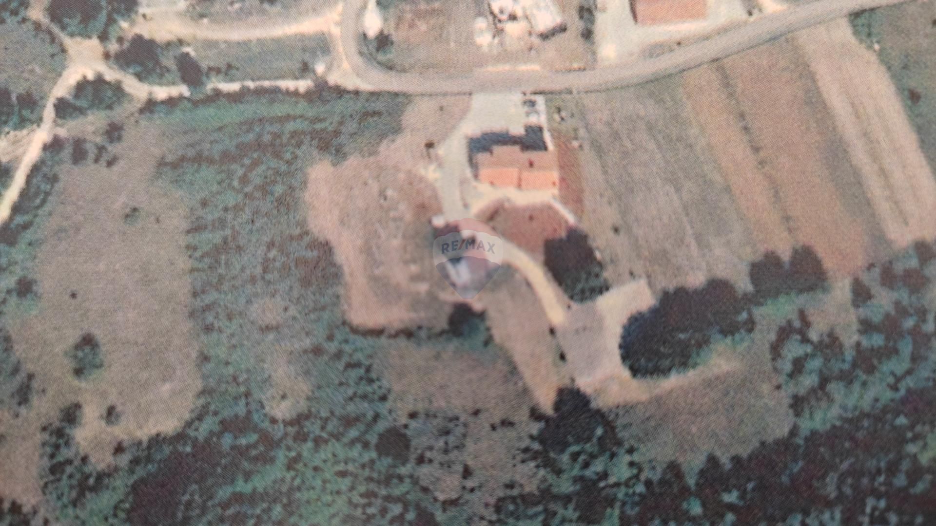 Fotografija
