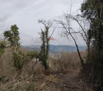 PIĆAN, ISTRA, SEOSKO IMANJE 53000m2, PRODAJA - cover