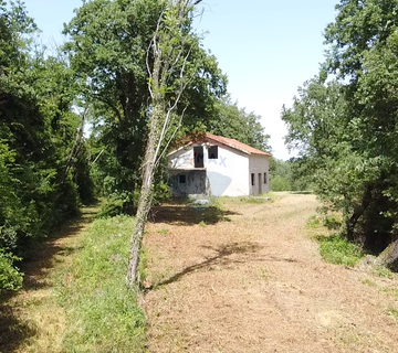 Istra, Višnjan - Samostojeća kuća sa 4900 m2 okućnice - cover