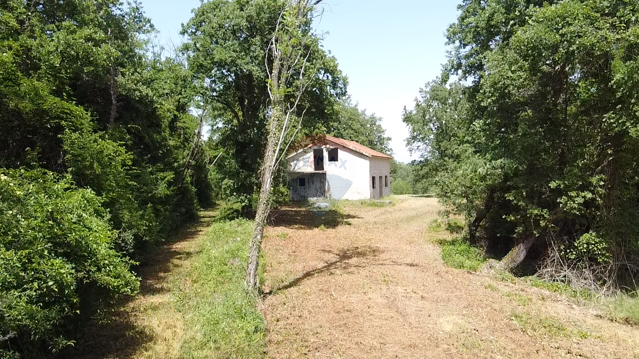 Fotografija