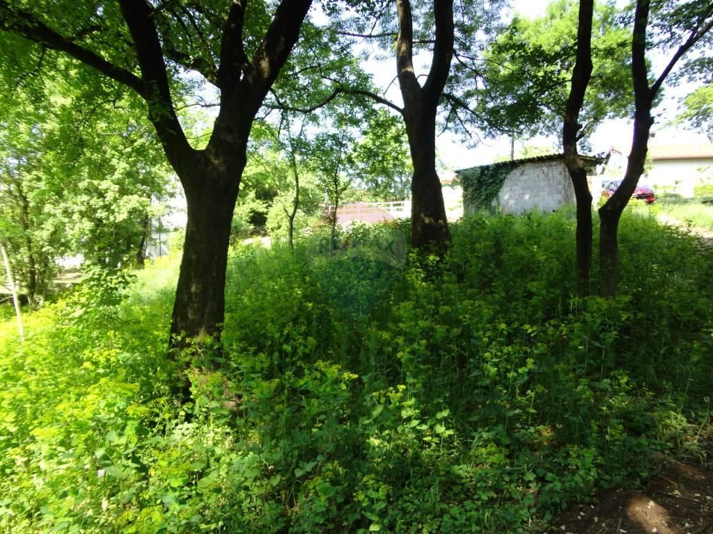 Fotografija