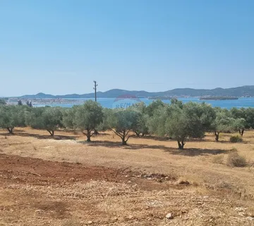 Sveti Filip i Jakov, Građevinsko zemljište, maslinik s pogledom na Pašman - cover