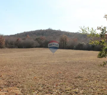 Rovinj, Rovinjsko Selo, veoma lijepa kampanja na Frati - cover